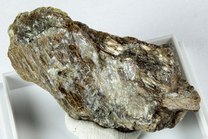 Gleaming Bronzite (Enstatite) Specimen - Austria #345019